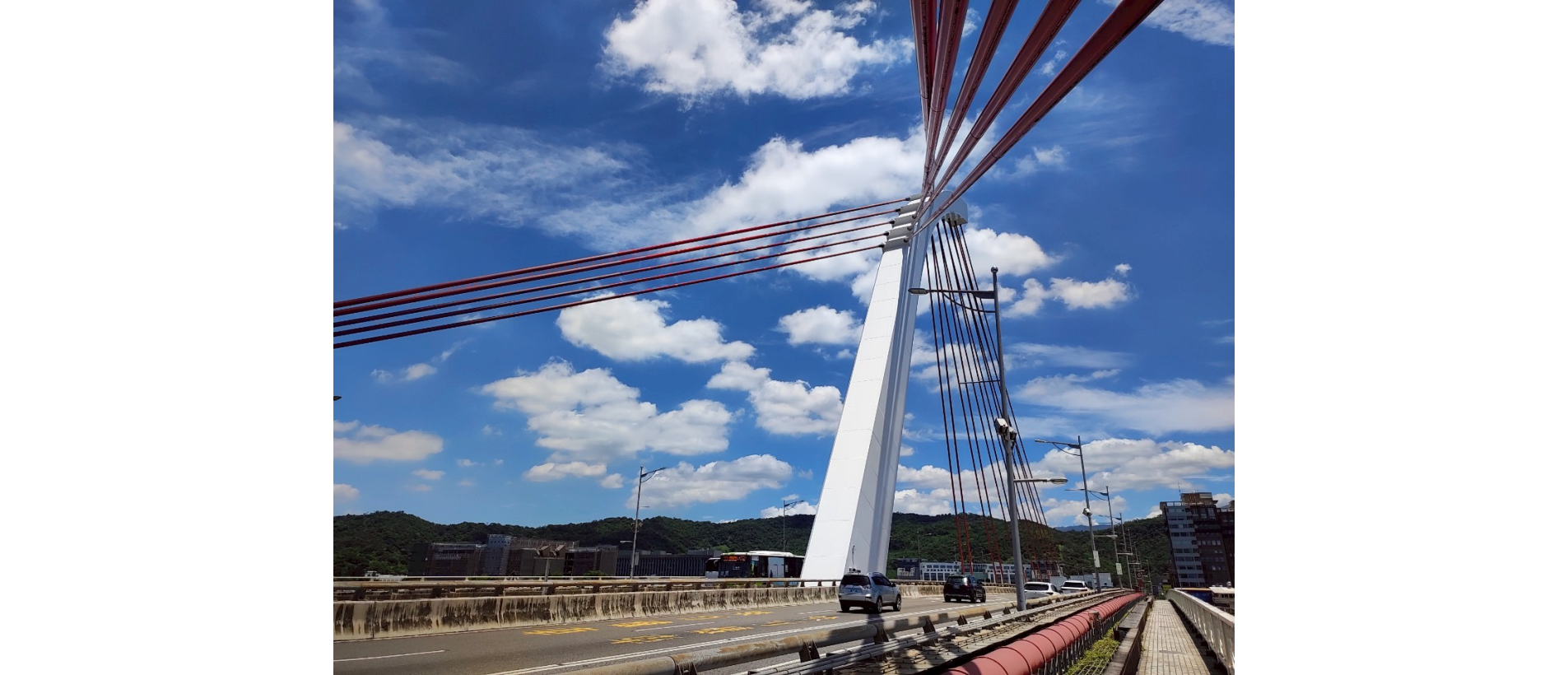 LINE_ALBUM_114大直橋部分竣工照_250611_10.jpg